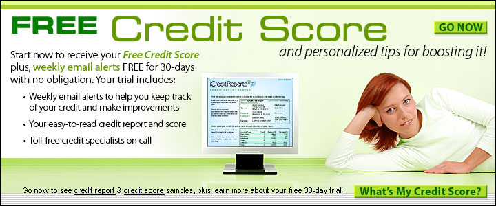 Free Credit Report Year